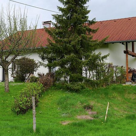 Cosy Apartment In Allg U With Garden Oy-Mittelberg Exteriör bild
