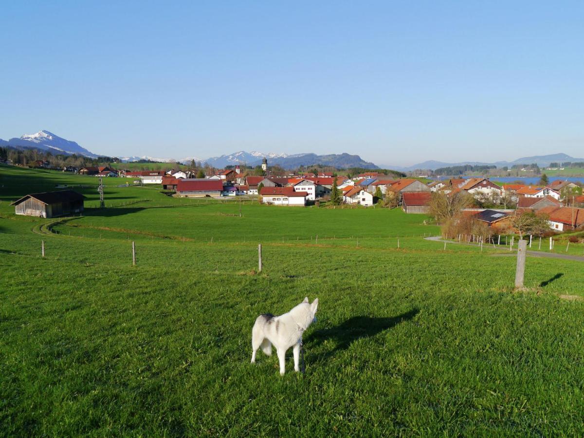 Cosy Apartment In Allg U With Garden Oy-Mittelberg Exteriör bild
